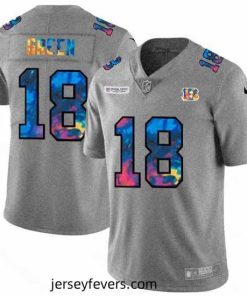 Cincinnati Bengals 18 A J  Green Nike Multi Color 2020 NFL Crucial Catch NFL Jersey Greyheather