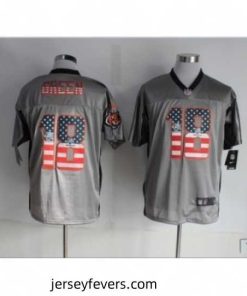 Nike Cincinnati Bengals 18 A.J. Green grey Elite USA Flag Fashion NFL Jersey