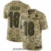 Nike Cincinnati Bengals 18 AJ Green Limited Camo 2018 Salute to Service NFL Jersey